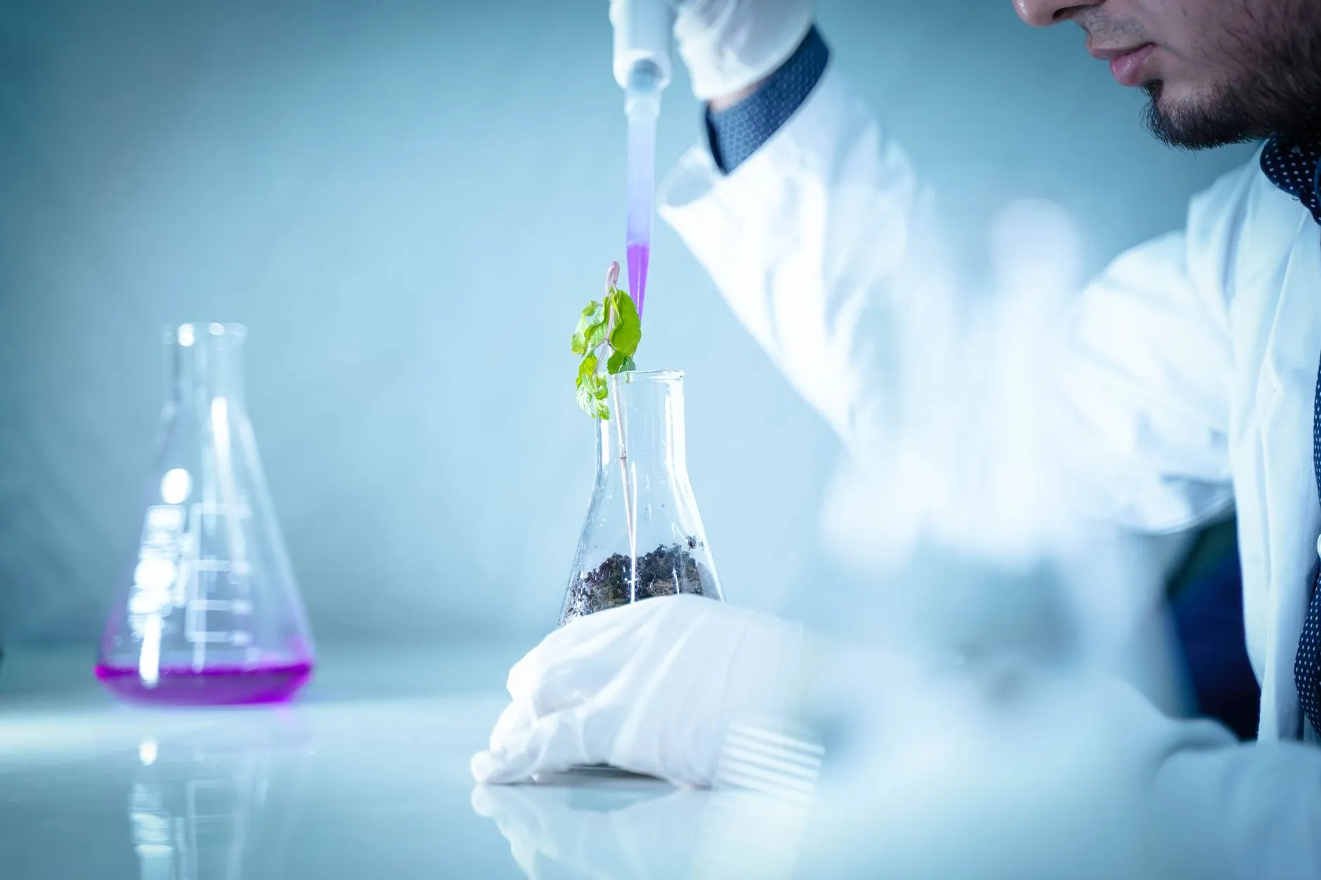 蚕桑生物制品在健康产业中的应用价值与产品形态解析正文配图 1