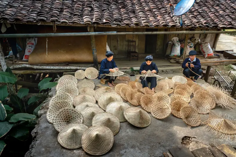 桑蚕活性成分提取工艺优化及质量管控关键技术解析