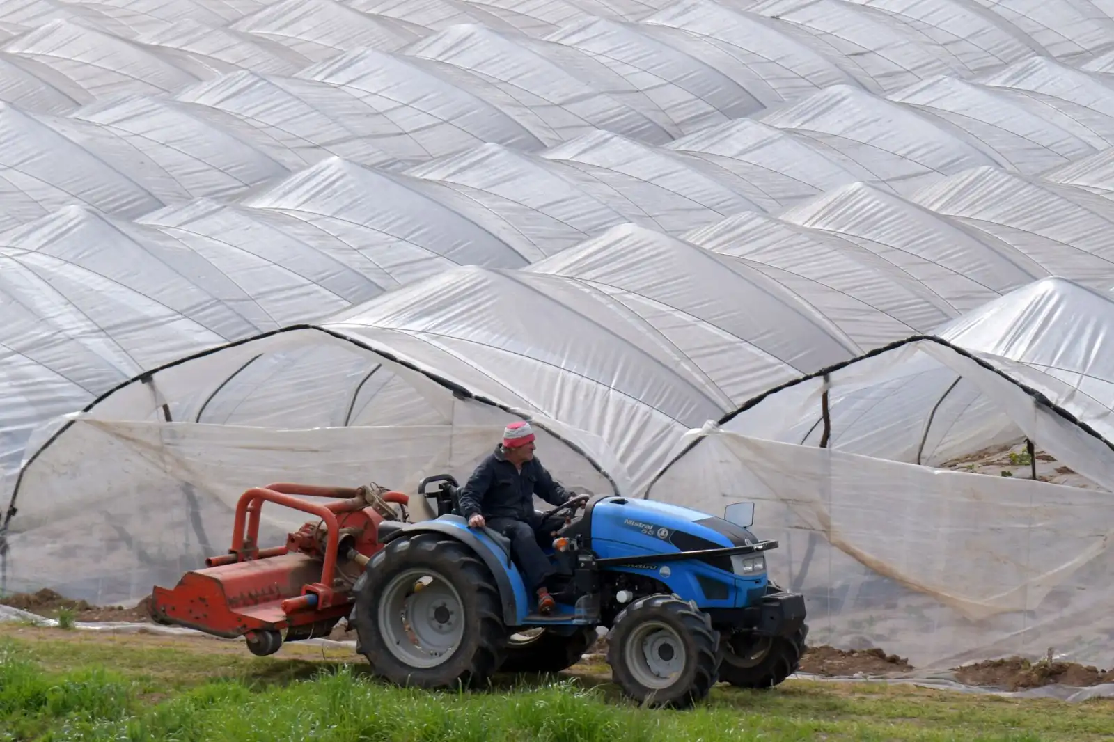 大连生物科技蚕桑产业深加工技术路线与发展趋势解析