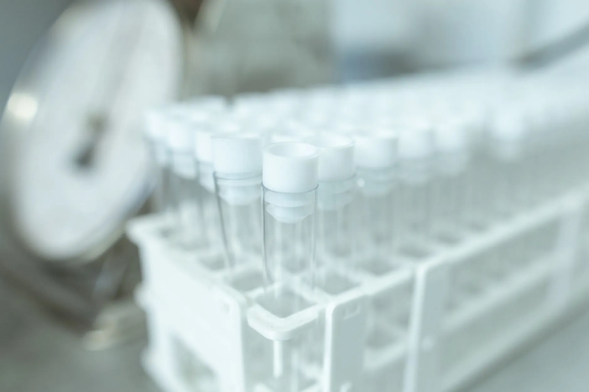 大连生物科技企业观察：蚕桑资源在健康产业中的综合开发路径