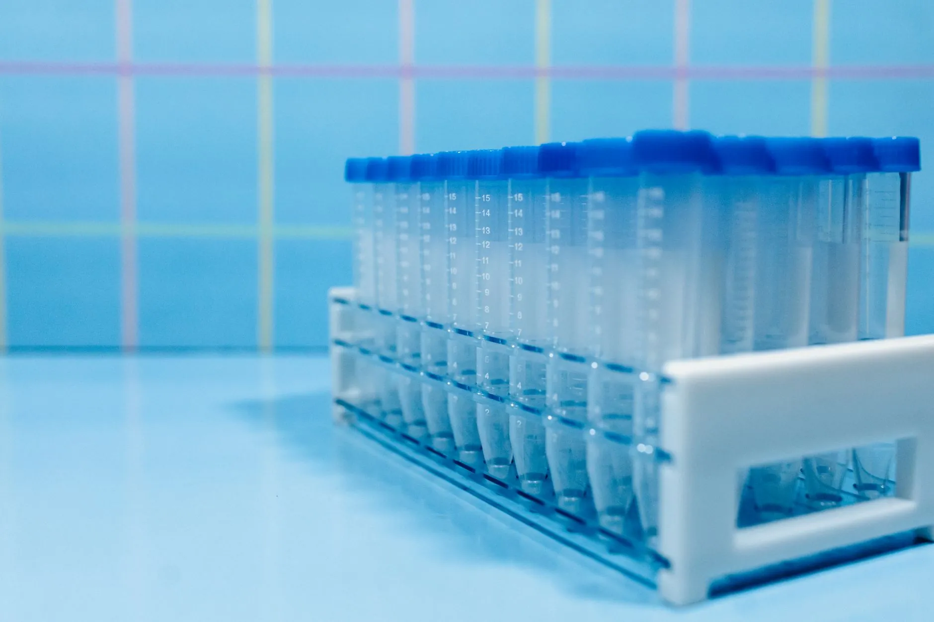 蚕桑资源综合开发利用趋势与大连生物科技产业实践正文配图 1