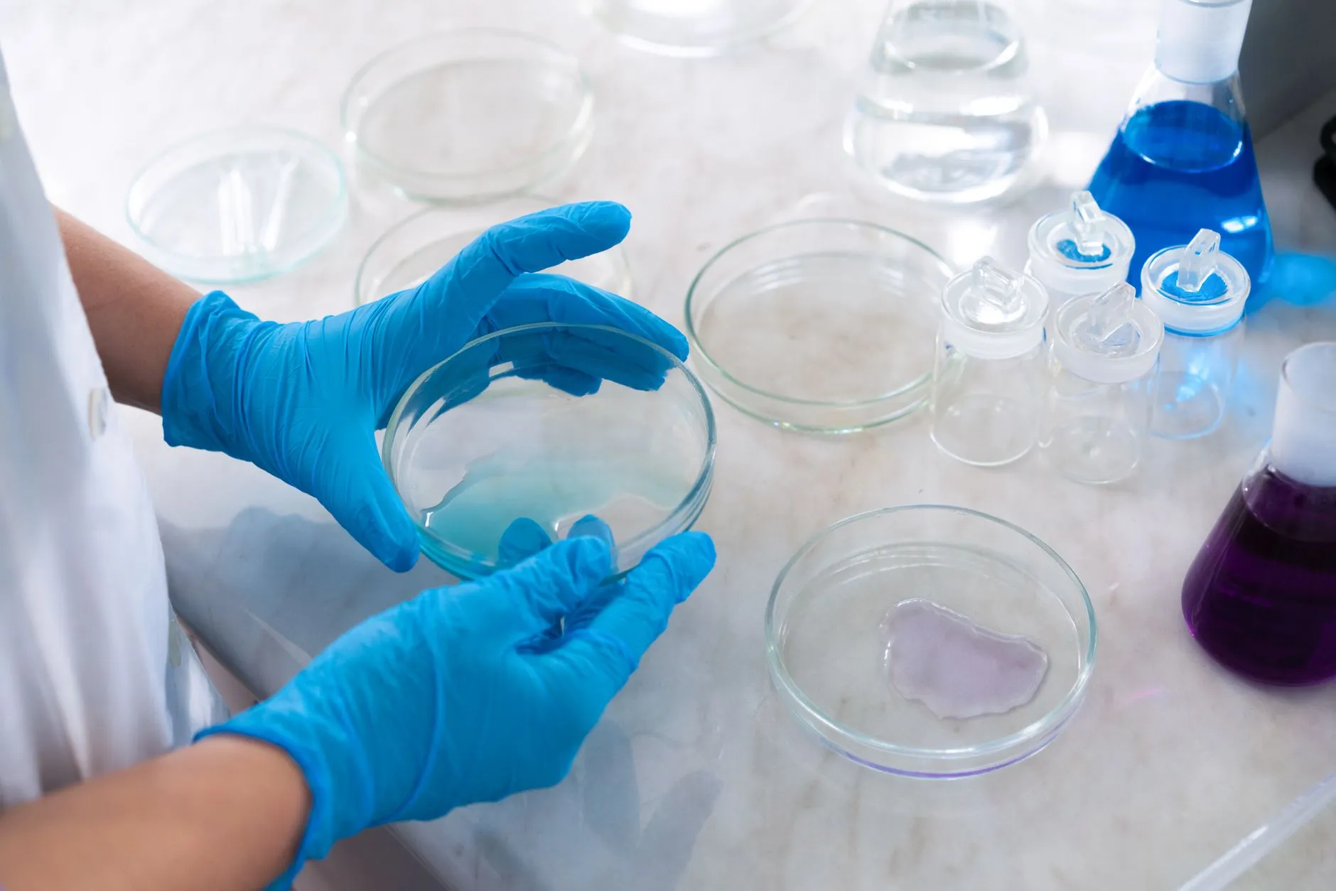 大连生物科技蚕桑产业2025年技术路线与成果转化趋势分析正文配图 1