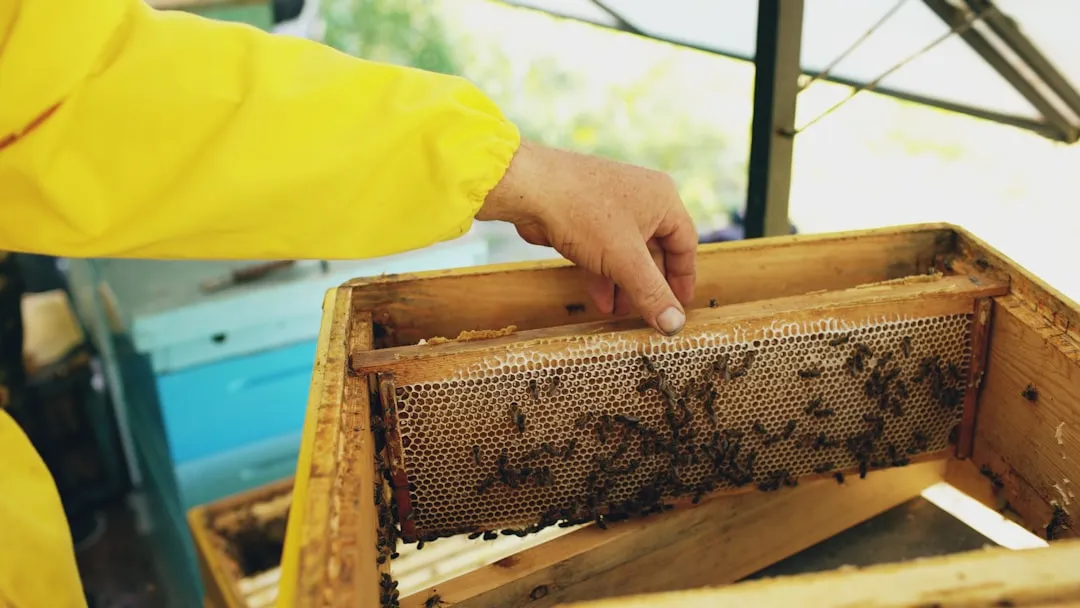 中蚕生物蚕桑系列健康产品技术优势及应用场景解析