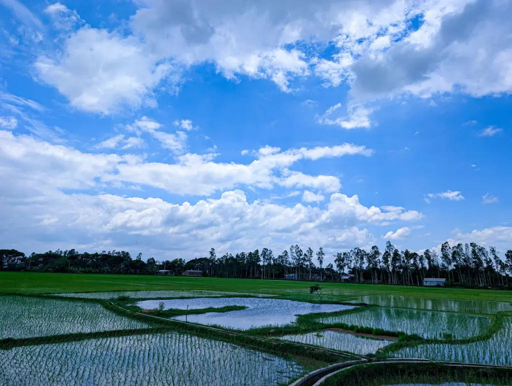 蚕桑生物制品在健康产业中的应用价值与发展前景
