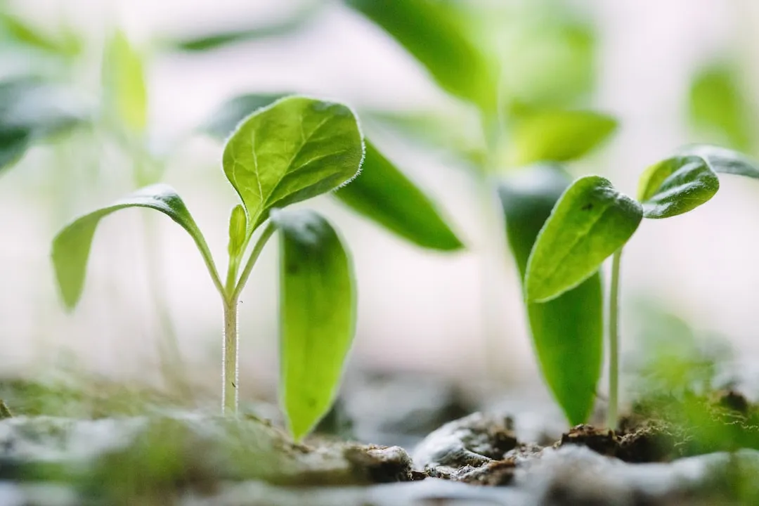 大连生物科技企业蚕桑制品型号参数对比与选购要点