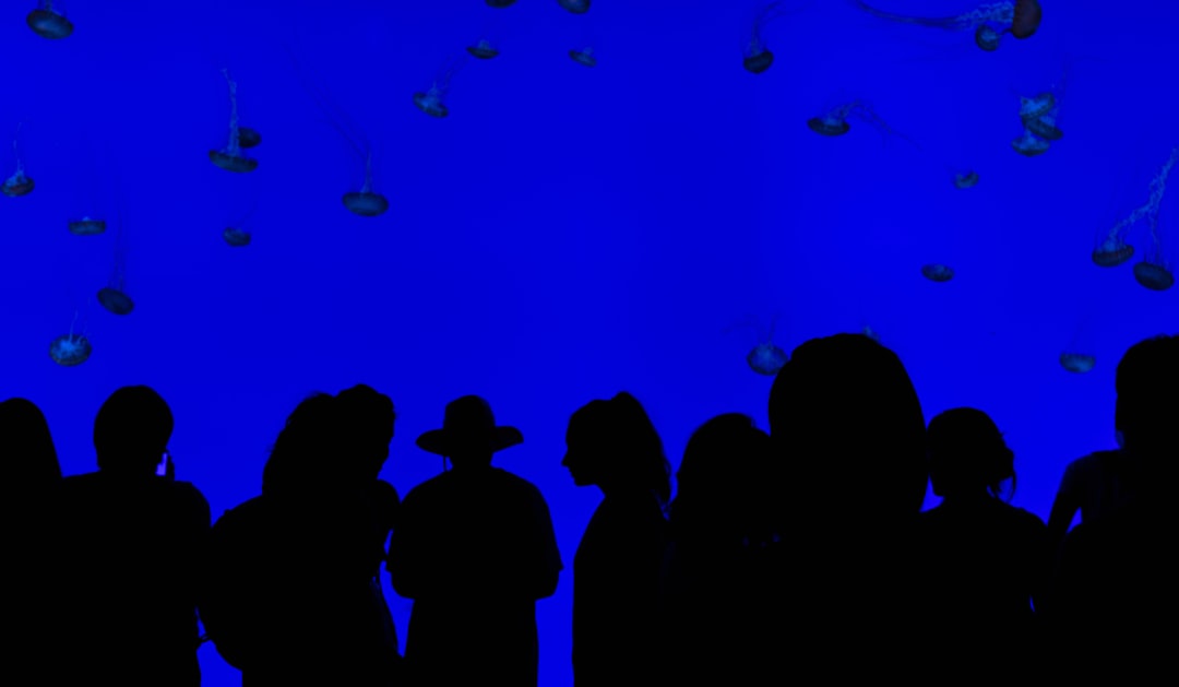 2025年蚕桑生物科技产业发展趋势与技术创新方向
